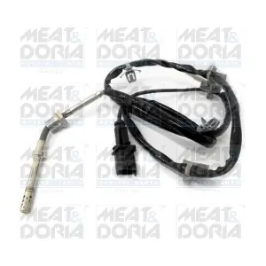 12091 MEAT & DORIA
