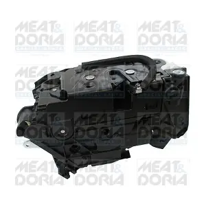 31351 MEAT & DORIA