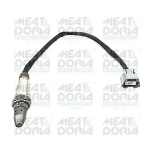 81977 MEAT & DORIA