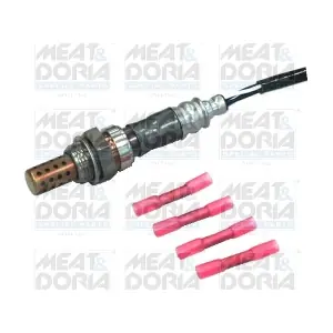 MEAT & DORIA 81700
