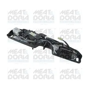 27332 MEAT & DORIA