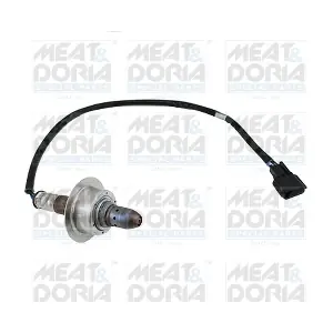 811031 MEAT & DORIA