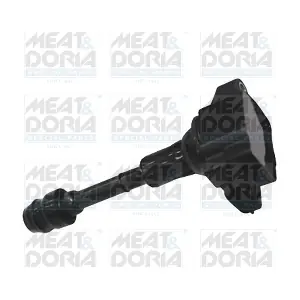 10797 MEAT & DORIA