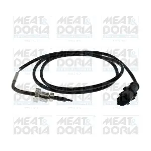 12139E MEAT & DORIA