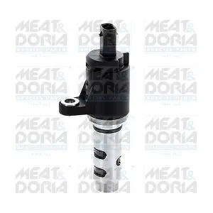 91570 MEAT & DORIA
