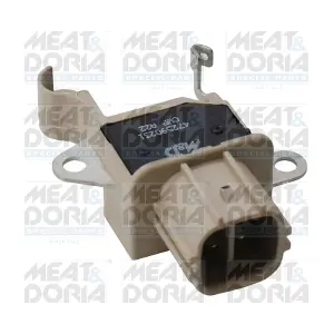 52379 MEAT & DORIA