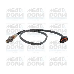 811060 MEAT & DORIA