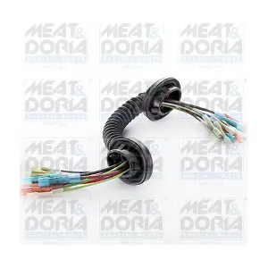 25384 MEAT & DORIA