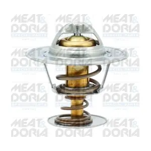 92161 MEAT & DORIA