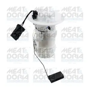 76998 MEAT & DORIA