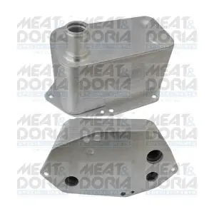 95036 MEAT & DORIA