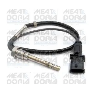 12137 MEAT & DORIA