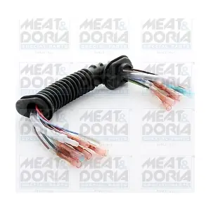 25053 MEAT & DORIA
