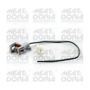 25329 MEAT & DORIA