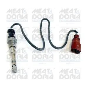12055 MEAT & DORIA