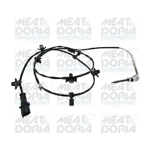 12198 MEAT & DORIA