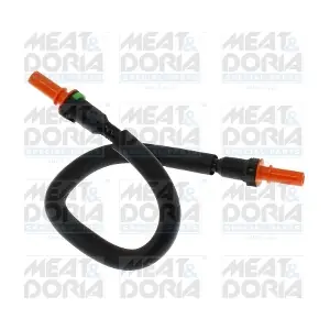 98229 MEAT & DORIA