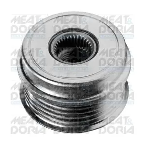 45005 MEAT & DORIA