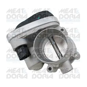 89543 MEAT & DORIA
