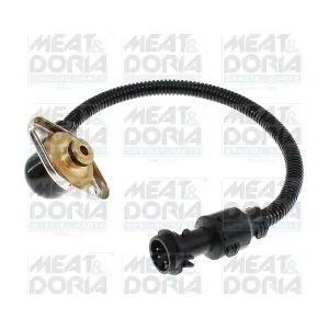 823076 MEAT & DORIA