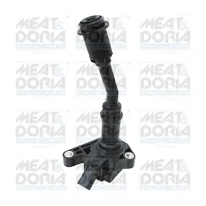 10812 MEAT & DORIA