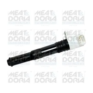 10613 MEAT & DORIA