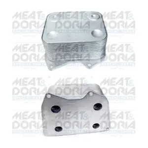 95085 MEAT & DORIA