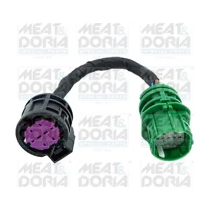 25008 MEAT & DORIA