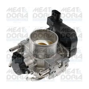 89651 MEAT & DORIA