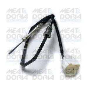12171 MEAT & DORIA