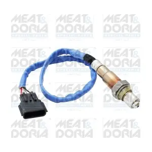 811011E MEAT & DORIA