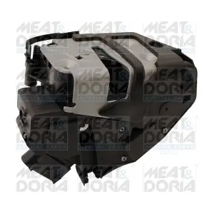 31397 MEAT & DORIA