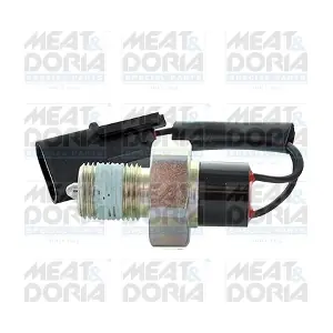 36125 MEAT & DORIA