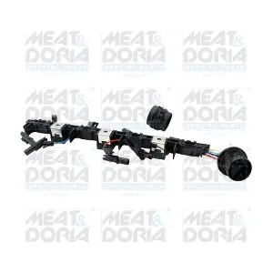 25494 MEAT & DORIA