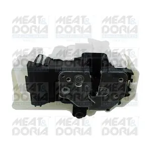31105 MEAT & DORIA