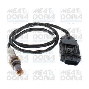 57333 MEAT & DORIA