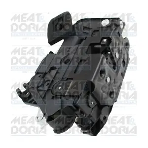 31376 MEAT & DORIA