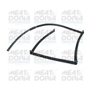 9876 MEAT & DORIA