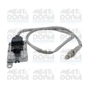 57181 MEAT & DORIA