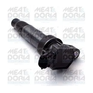 MEAT & DORIA 10598