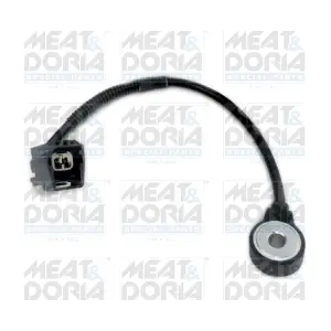 875005 MEAT & DORIA