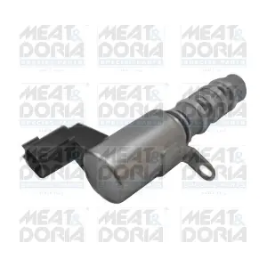 91535 MEAT & DORIA