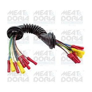 25286 MEAT & DORIA