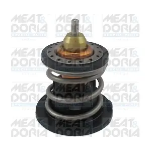 92919 MEAT & DORIA