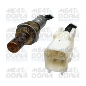 81777 MEAT & DORIA