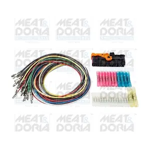 25031 MEAT & DORIA