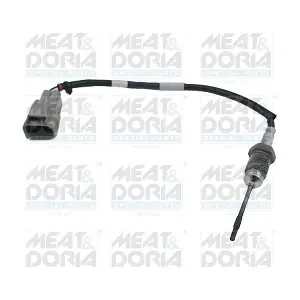 12458 MEAT & DORIA