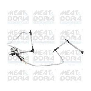 98596 MEAT & DORIA