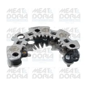 52353 MEAT & DORIA