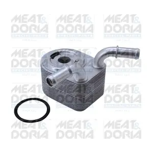 95313 MEAT & DORIA